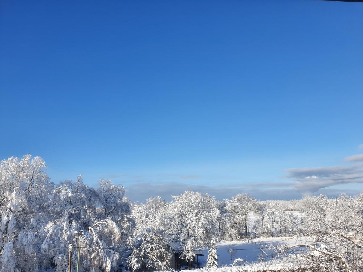 Energetischer Urlaub In Der Eifel Germeter Exteriör bild