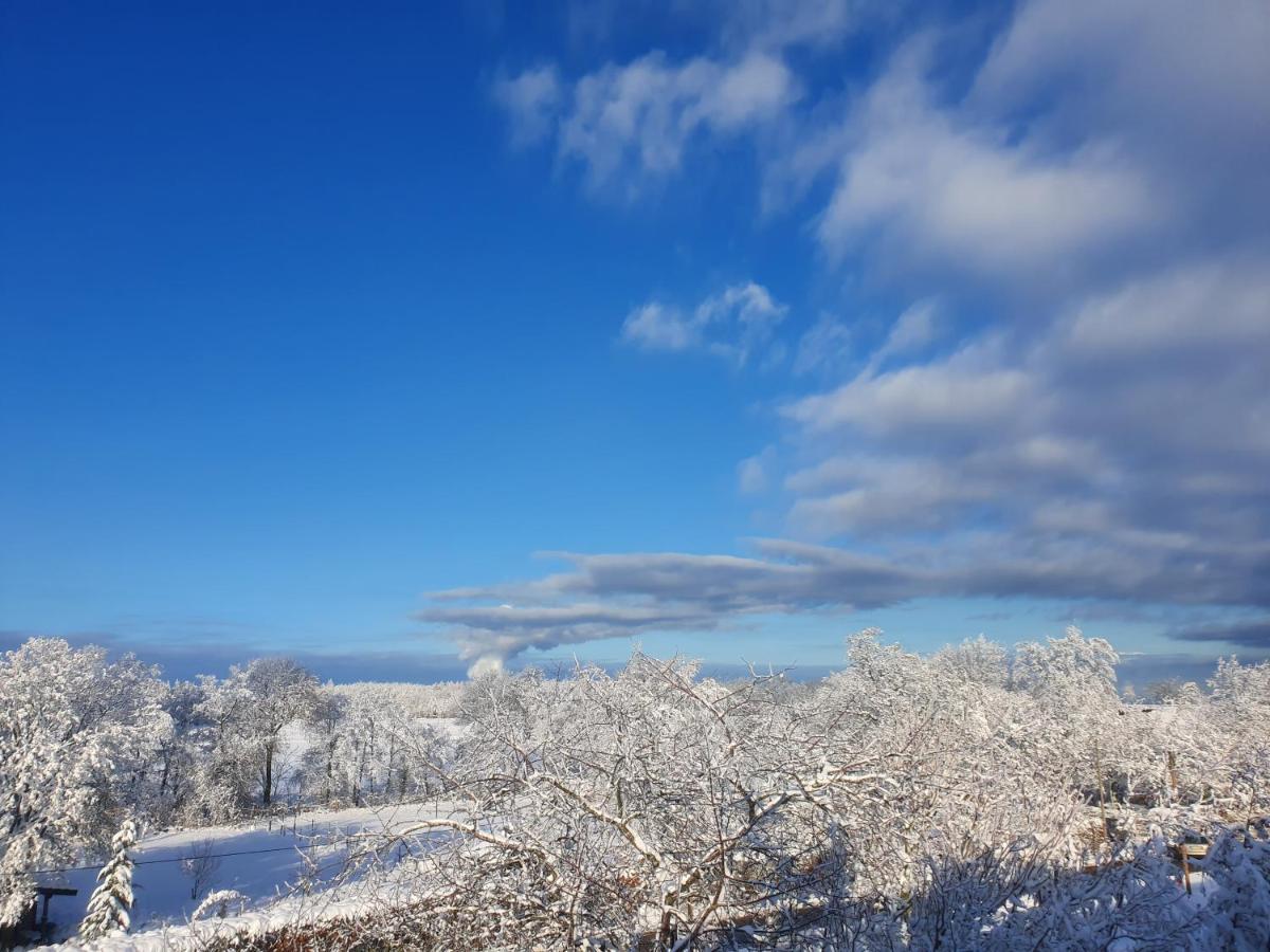 Energetischer Urlaub In Der Eifel Germeter Exteriör bild