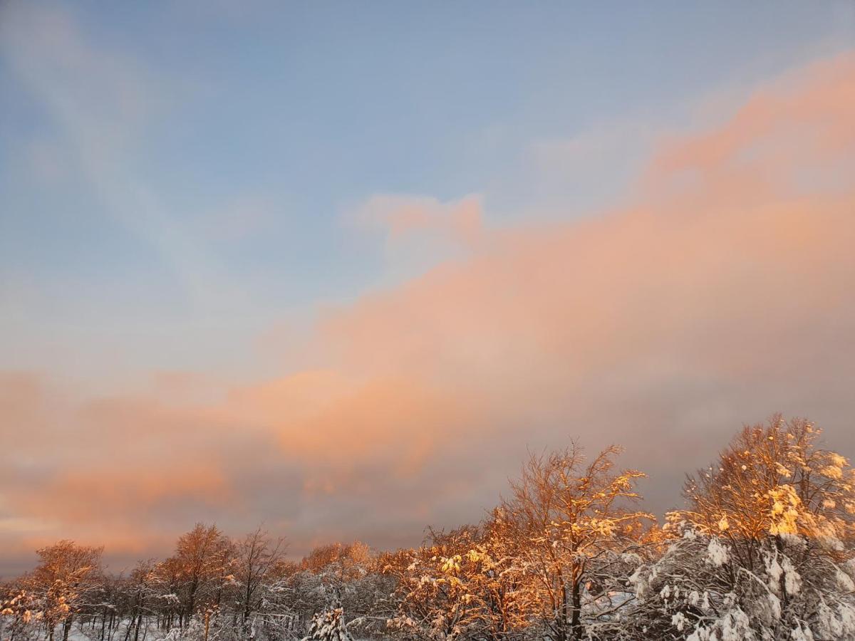Energetischer Urlaub In Der Eifel Germeter Exteriör bild